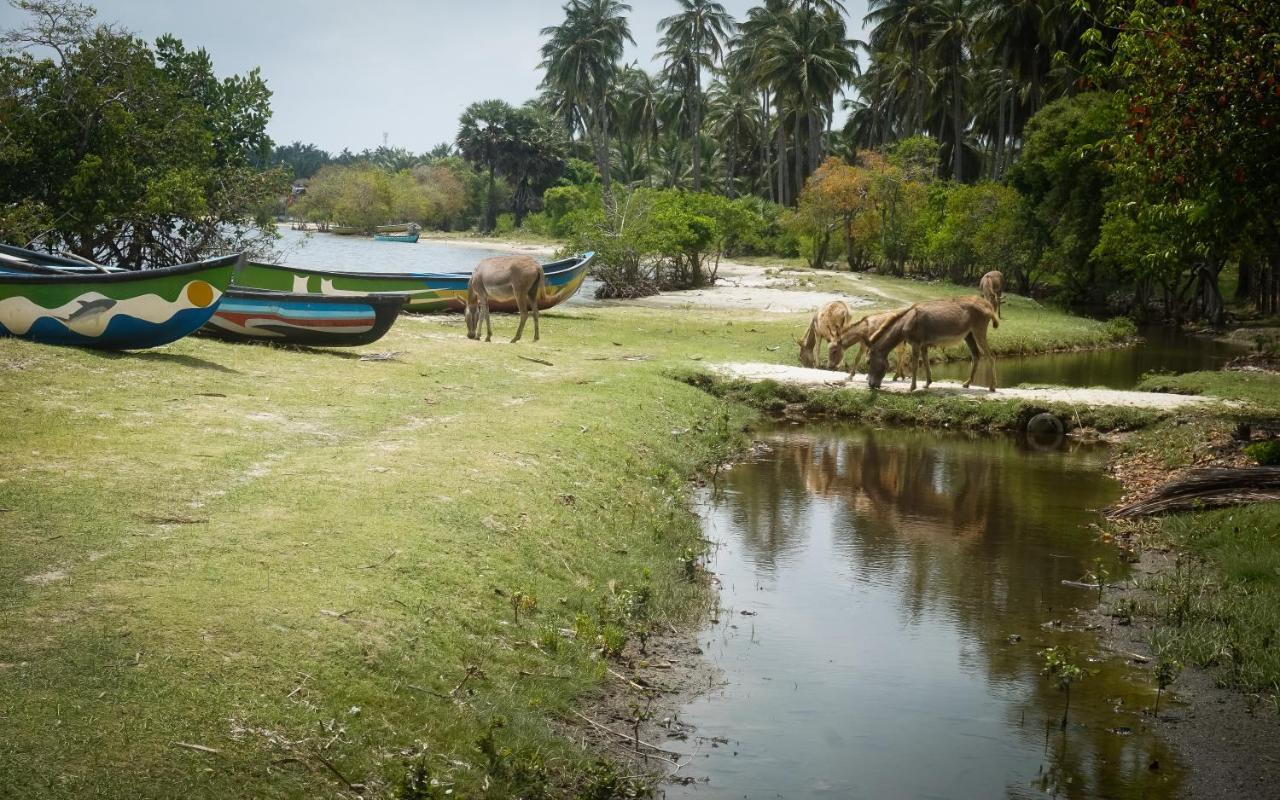 Ruuk Village คัลพิทิยา ภายนอก รูปภาพ